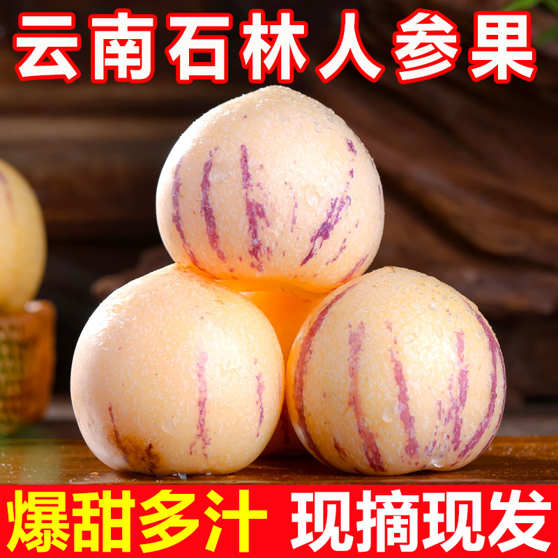 云南石林人参果当季新鲜孕妇爆甜水果一件代发