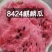 头茬精品8424西瓜大量上市产地装车量大从优诚信经营致电
