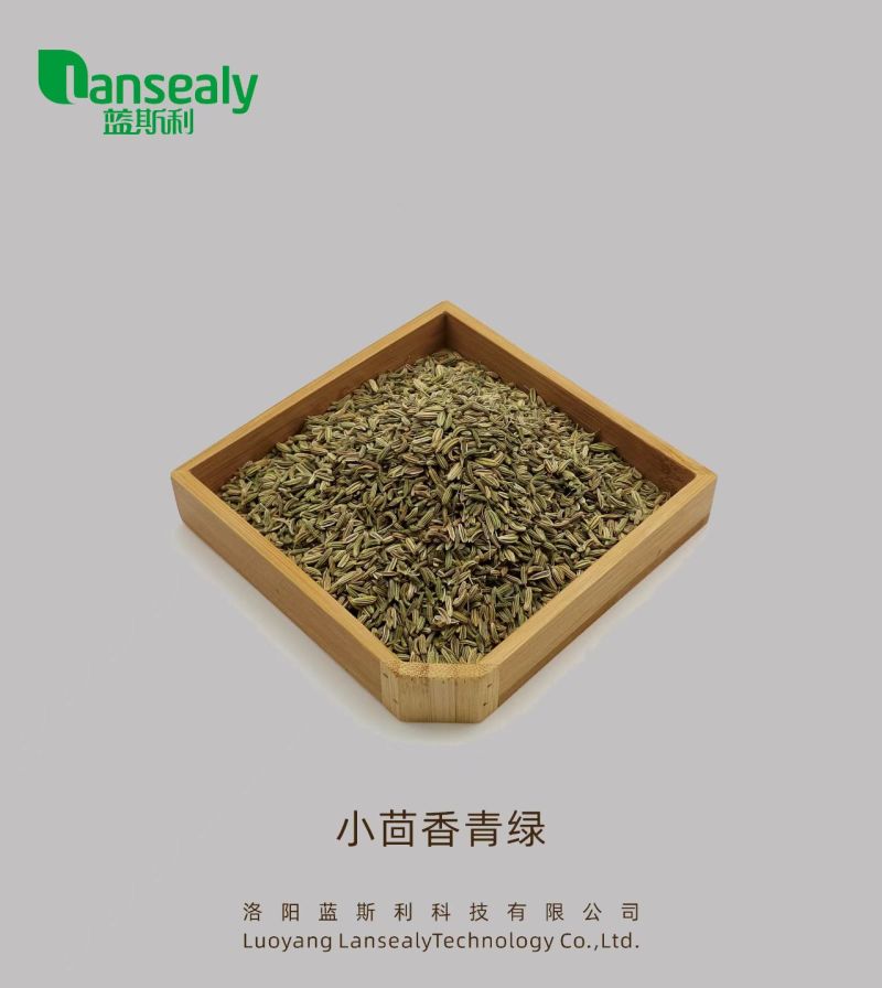 新疆阿勒泰小茴香，产地直发一手货源，对接商超市场电商