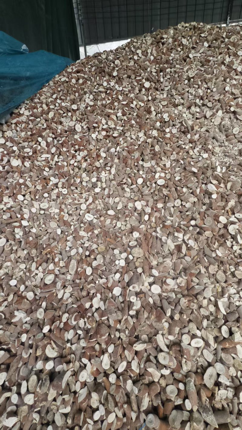 大量的木薯干，木薯片