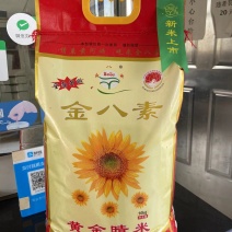 黄河水浇大米香甜软糯口感好量大从优欢迎采购