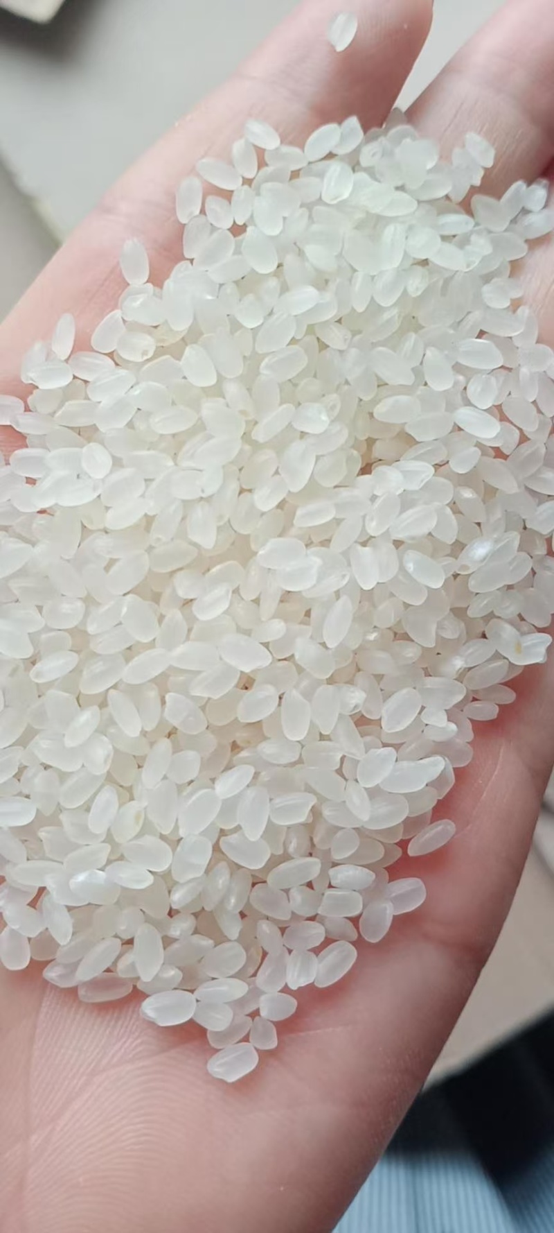 黄河水浇大米香甜软糯口感好量大从优欢迎采购