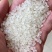 黄河水浇大米香甜软糯口感好量大从优欢迎采购