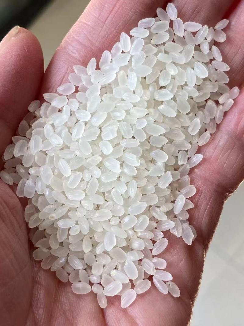 黄河水浇大米香甜软糯口感好量大从优欢迎采购