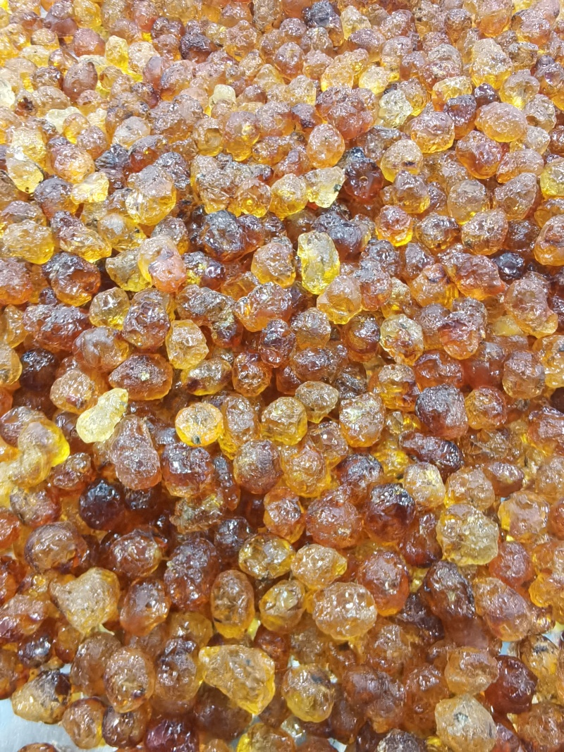 湖北产地桃胶源头工厂常年稳定供应各类桃胶