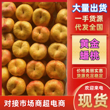 《黄金蟠桃》黄桃/大荔县蟠桃/全国发货/质量好耐运输