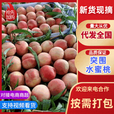 《突围桃》水蜜桃/红桃/大荔县桃子/质量好运输/产地直发