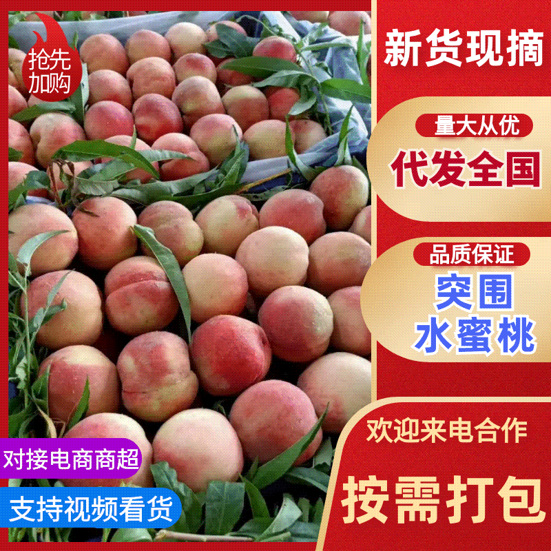 《突围桃》水蜜桃/红桃/大荔县桃子/质量好运输/产地直发