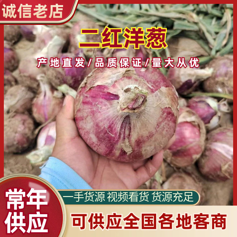 【源头直采】二红洋葱大量供应全国代发欢迎来电咨询