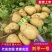 土豆黄皮黄心土豆现挖现发产地直供一手货源欢迎咨询