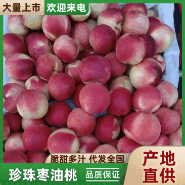 《珍珠枣油桃》山西桃子/红桃油桃/产地直发全国/耐运输