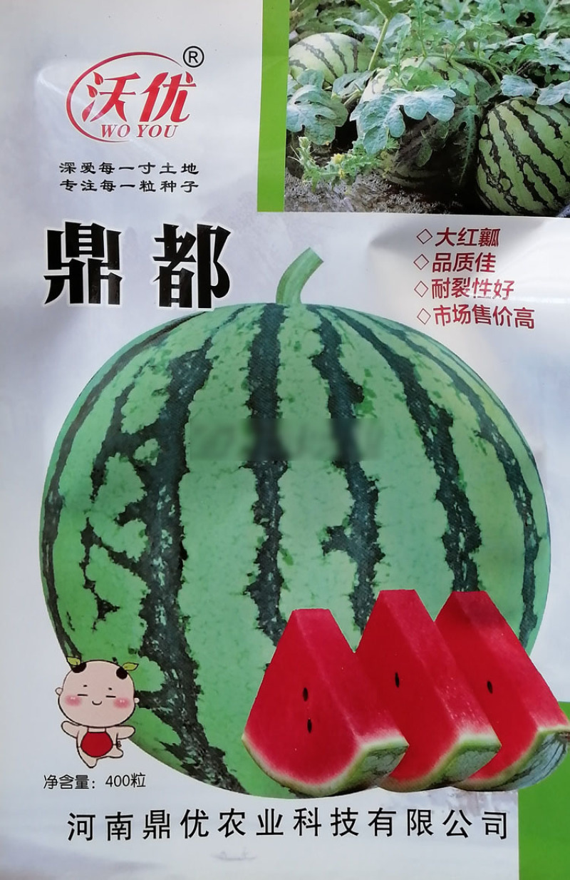 鼎优鼎都西瓜种子美都秀都西瓜种籽大红瓤甜度高果实圆形耐裂