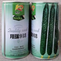 翔瑞918杂交油亮型露地黄瓜种子肉质翠绿耐湿热黑皮黄瓜种