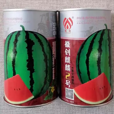 徽创麒麟2号西瓜种子大果型麒麟瓜种子京欣8424西瓜种籽