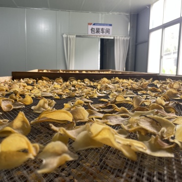干土豆片