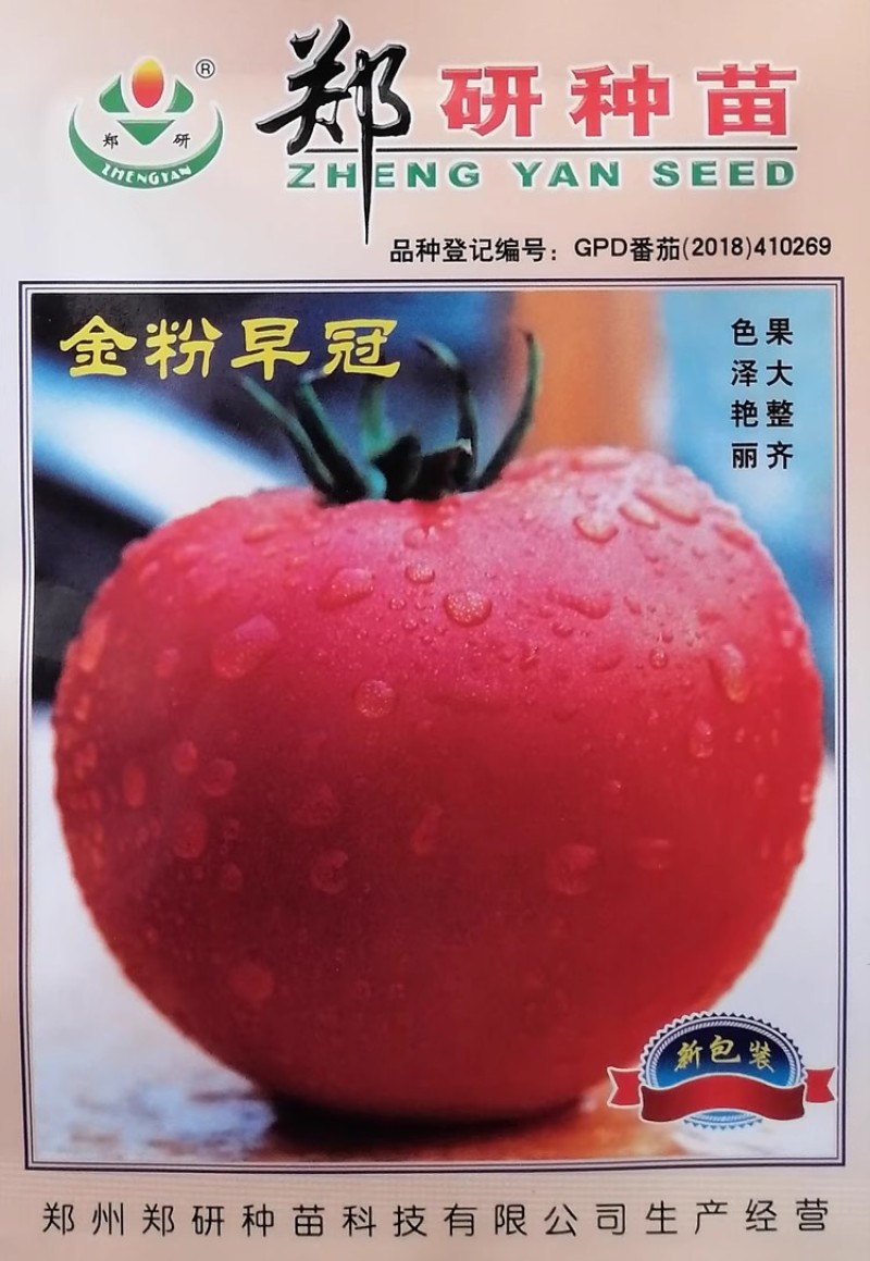 郑研金粉早冠番茄种子色泽艳丽大果番茄西红柿种籽肉厚味