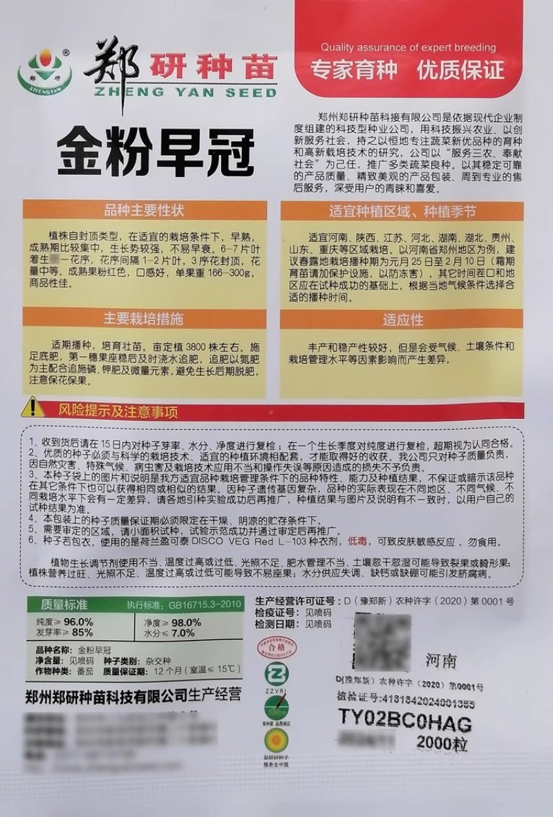 郑研金粉早冠番茄种子色泽艳丽大果番茄西红柿种籽肉厚味