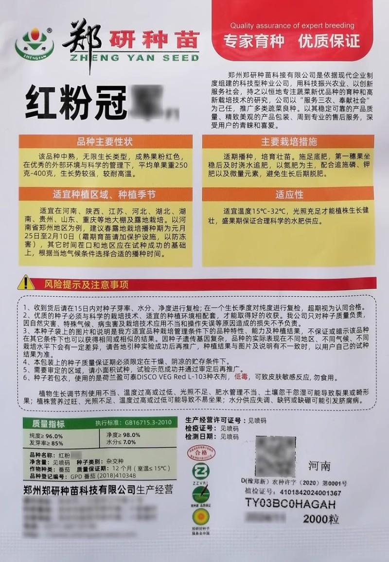 郑研金粉早冠番茄种子色泽艳丽大果番茄西红柿种籽肉厚味