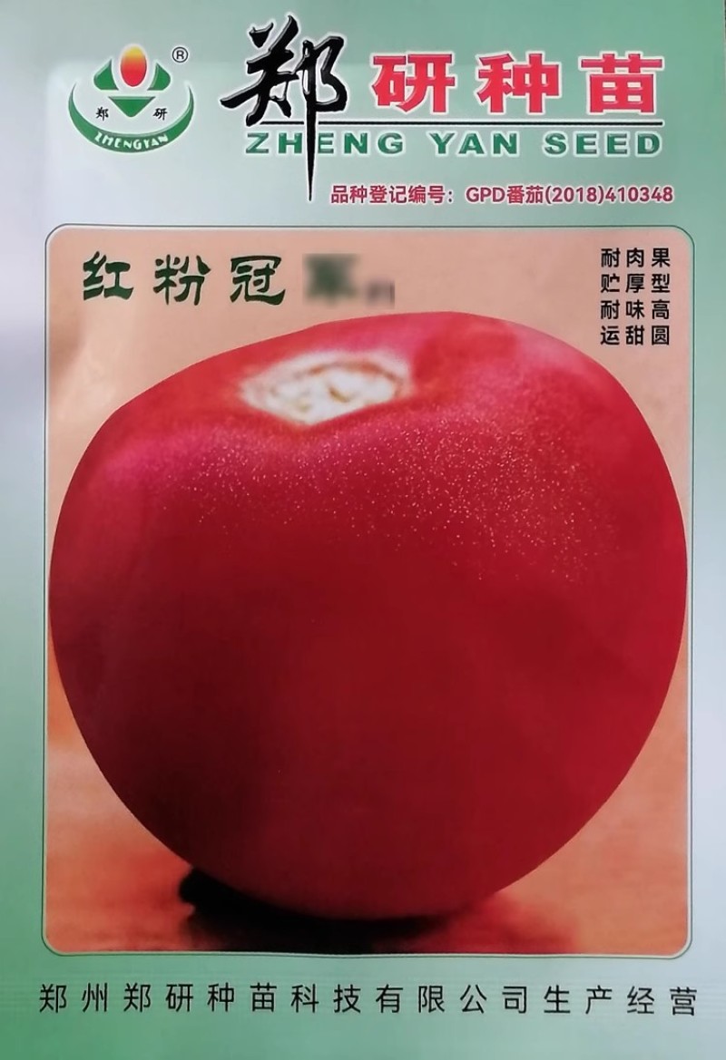 郑研金粉早冠番茄种子色泽艳丽大果番茄西红柿种籽肉厚味