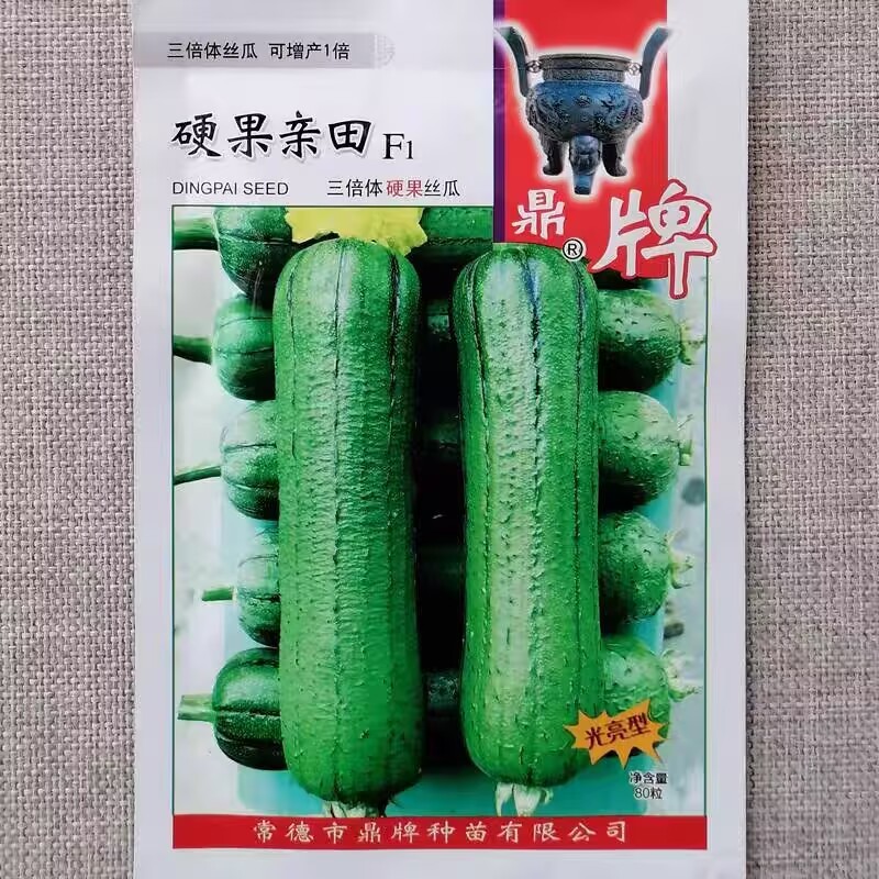 鼎牌硬果亲田硬果太美大棚之爱丝瓜种子翠绿短棒糯香高产丝瓜