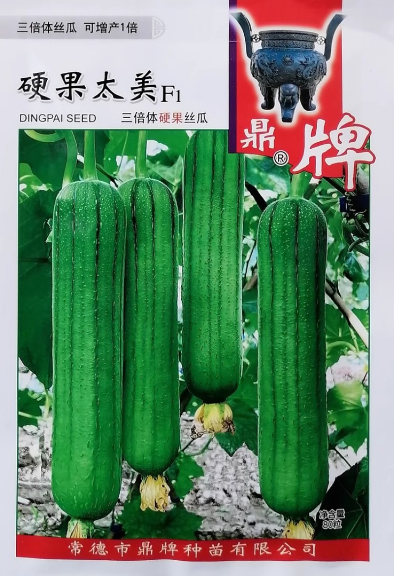 鼎牌硬果亲田硬果太美大棚之爱丝瓜种子翠绿短棒糯香高产丝瓜