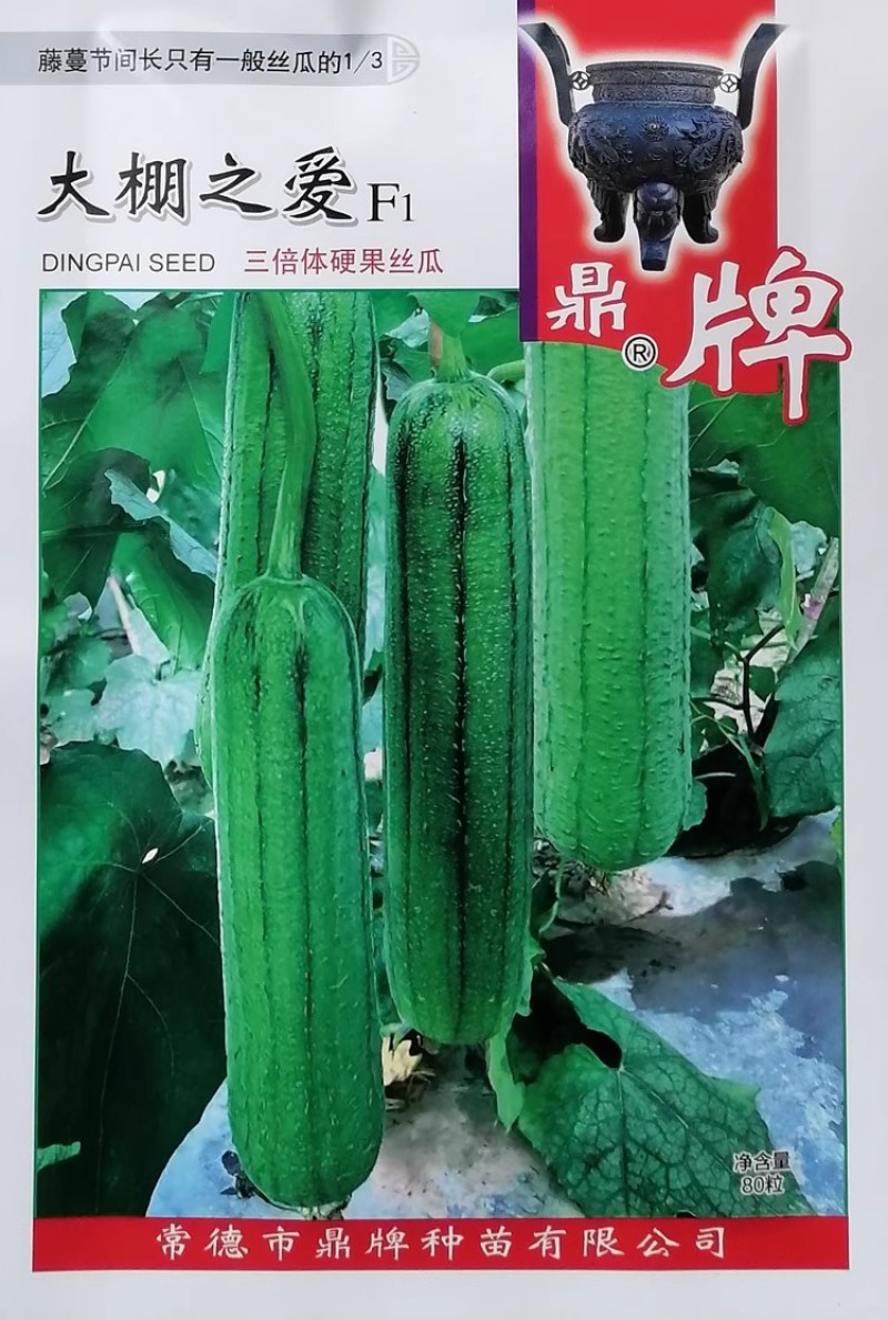 鼎牌硬果亲田硬果太美大棚之爱丝瓜种子翠绿短棒糯香高产丝瓜