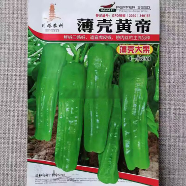 薄壳黄帝大果皱皮泡椒海椒种子早中熟虎皮辣椒种子鲜椒质脆