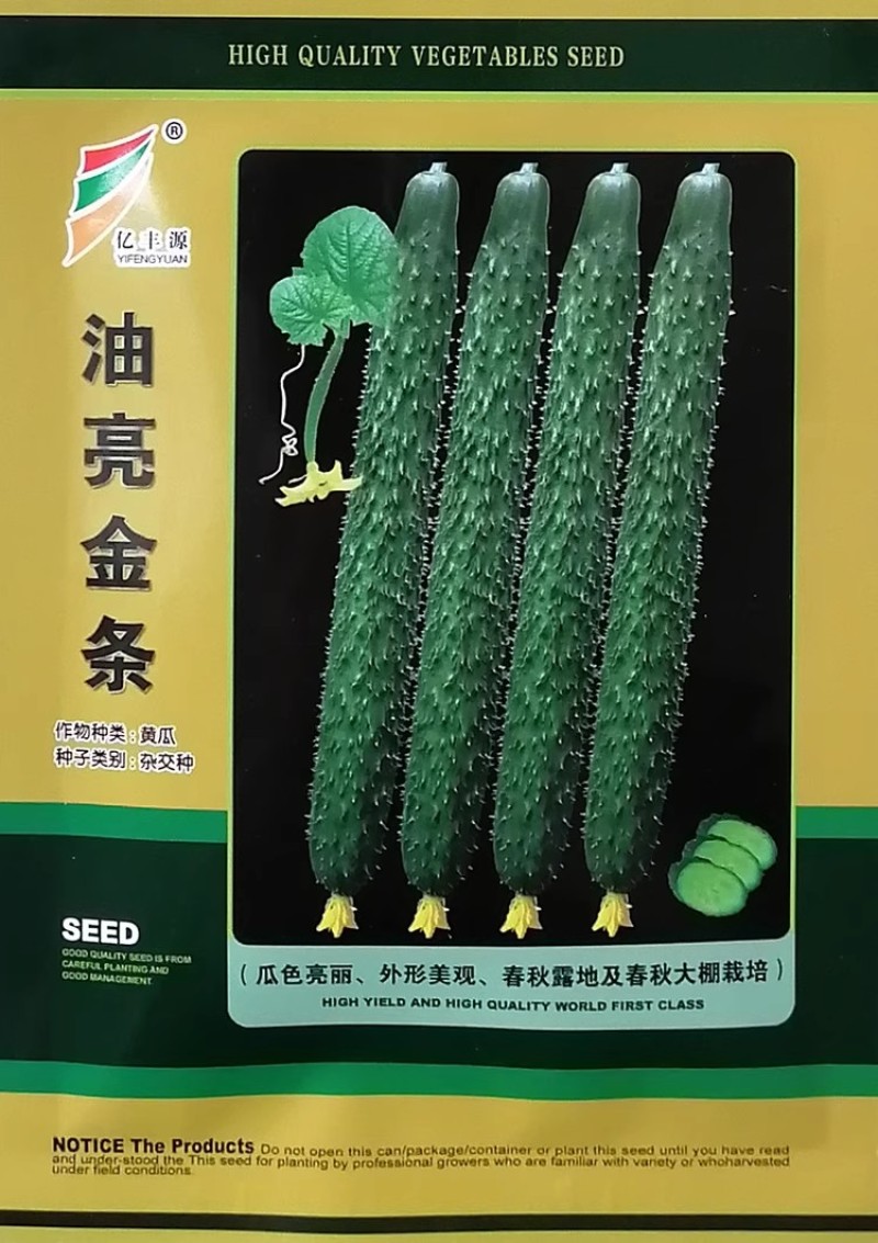 油亮金条黄瓜种子春秋露地大棚深绿油亮黄瓜种籽早熟耐热高产