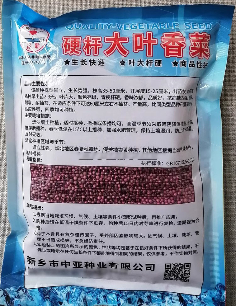硬杆香菜种子四季大叶香菜种子生长快速直立青梗浓香高产铁杆