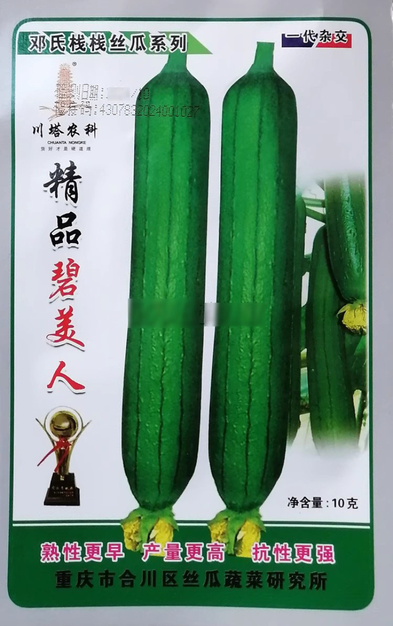 精品碧美人丝瓜种子早熟杂交耐湿热油皮丝瓜种籽瓜条油亮深绿