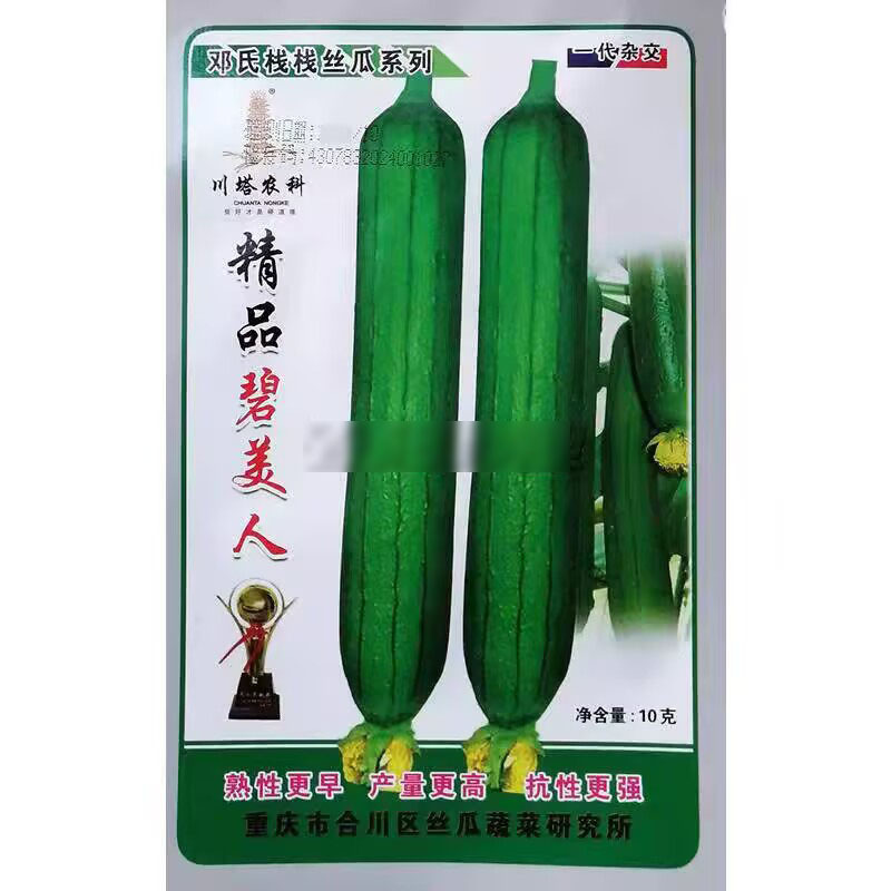 精品碧美人丝瓜种子早熟杂交耐湿热油皮丝瓜种籽瓜条油亮深绿