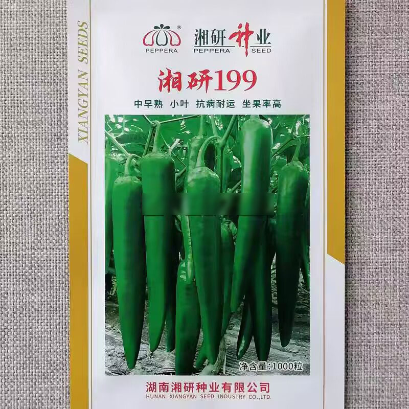 湘研199辣椒种子中早熟青皮牛角椒种籽顺直光滑无皱耐湿热