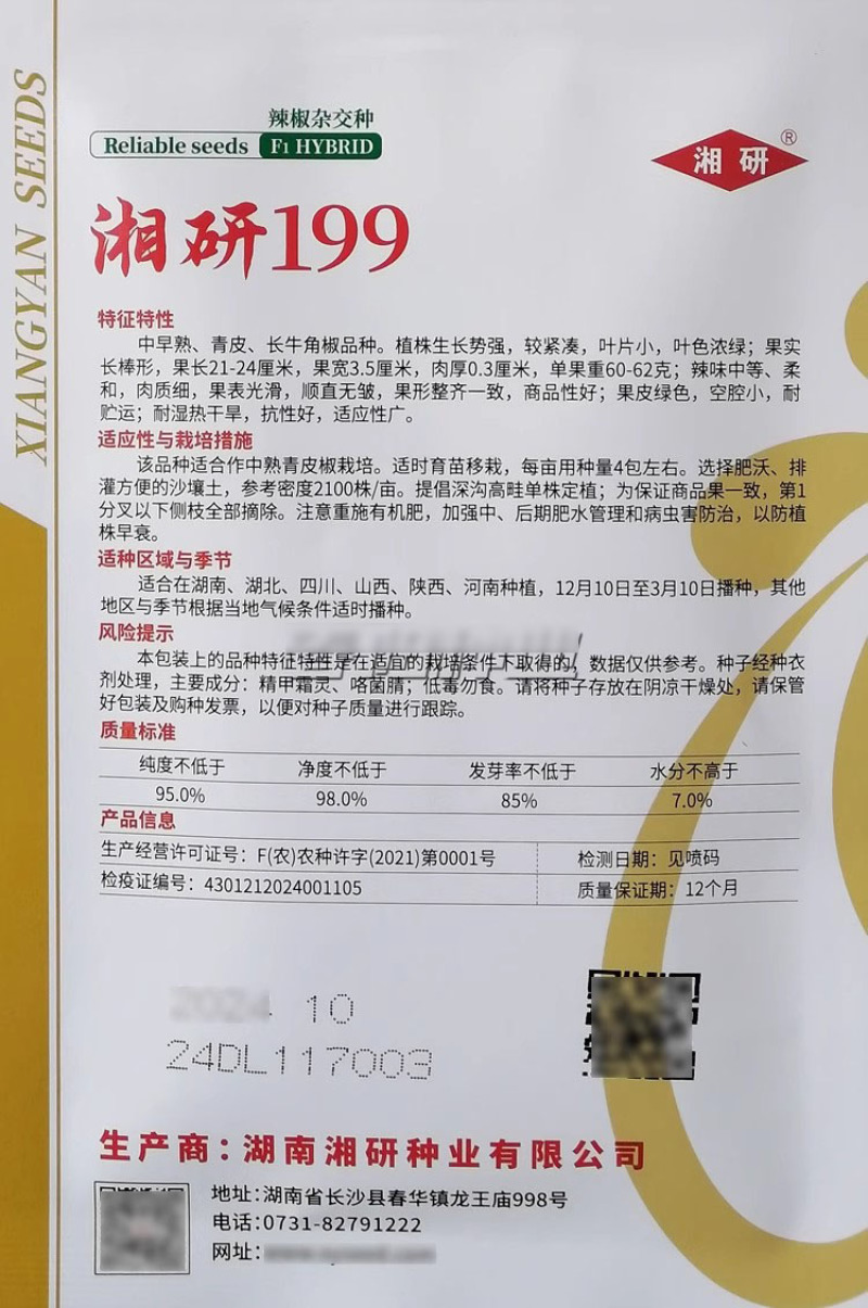 湘研199辣椒种子中早熟青皮牛角椒种籽顺直光滑无皱耐湿热