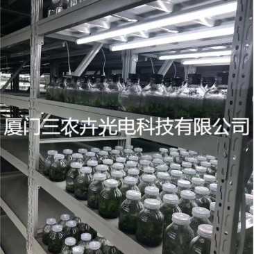 90cm-蝴蝶兰组培灯