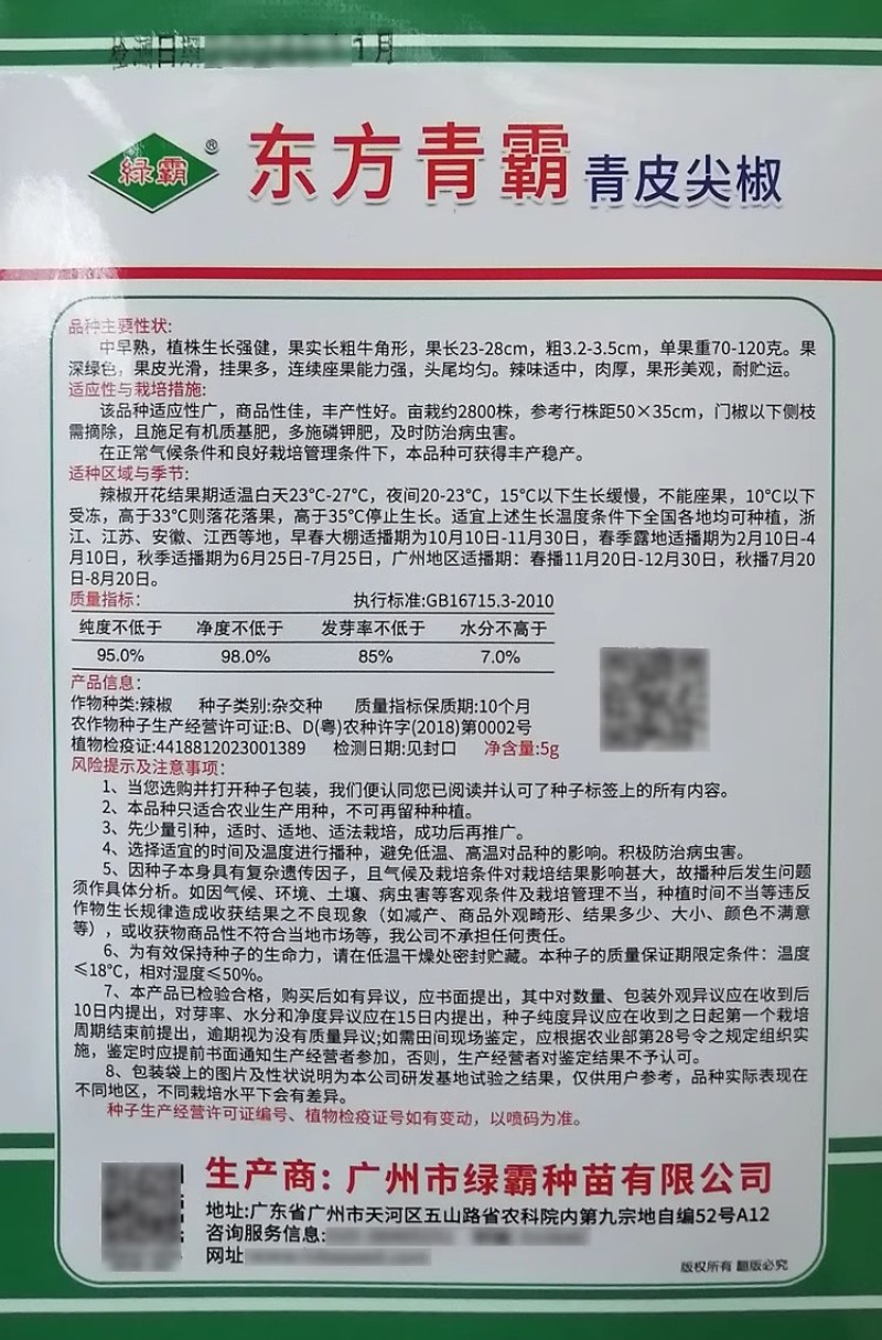 东方青霸青皮尖椒种子辣椒种籽大牛角椒果皮光滑深绿辣味适中