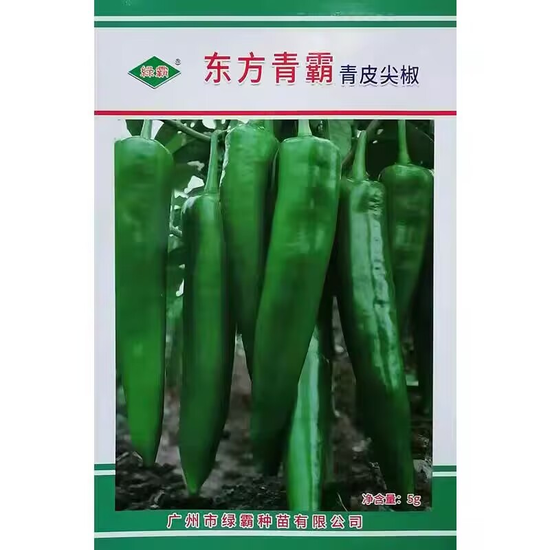 东方青霸青皮尖椒种子辣椒种籽大牛角椒果皮光滑深绿辣味适中