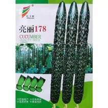 亮丽178绿瓤黄瓜种子早熟油亮绿肉大棚露地黄瓜种瓜条顺直