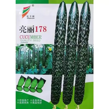 亮丽178绿瓤黄瓜种子早熟油亮绿肉大棚露地黄瓜种瓜条顺直