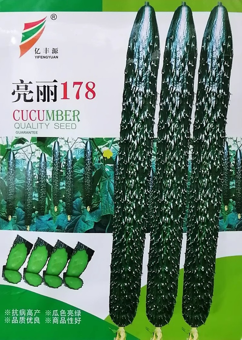 亮丽178绿瓤黄瓜种子早熟油亮绿肉大棚露地黄瓜种瓜条顺直
