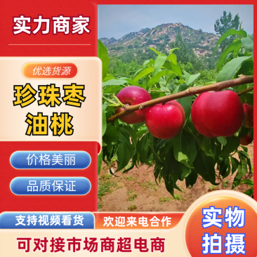 珍珠枣油桃山东桃山东油桃产地直发口感脆甜量大优惠