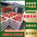 突围桃砀山毛桃产地直发品质保障对接全国量大优惠