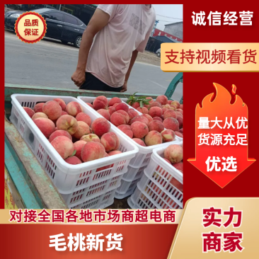 突围毛桃砀山突围桃产地直发口感脆甜品质保障
