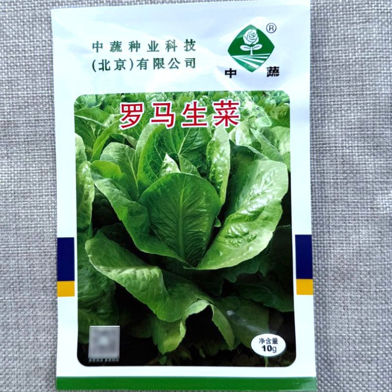 中蔬罗马生菜种子孔雀生菜种子直立生菜种口感脆嫩微甜