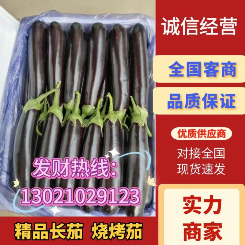 山东烧烤茄子长茄绿宝耐运输市场货源电商货源千亩基地直供