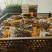 水煮花生熟花生颗粒饱满味道佳价格实惠厂家直销欢迎电联