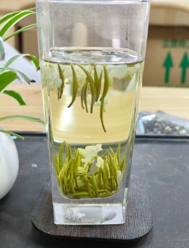 茉莉花茶-四号白雪公主