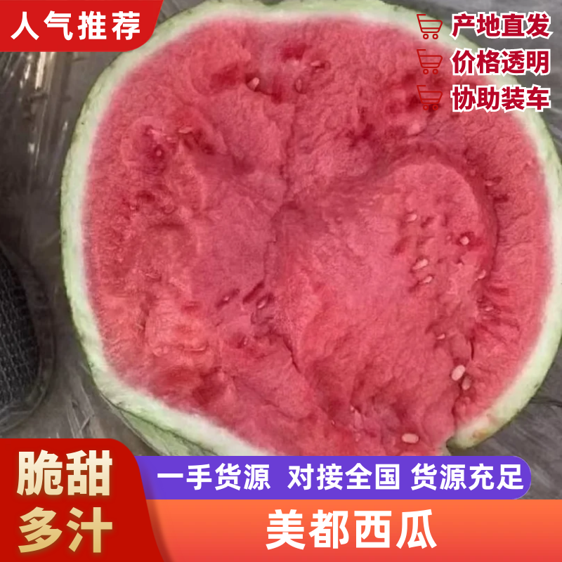 云南精品麒麟美都西瓜大量上市可视频看货
