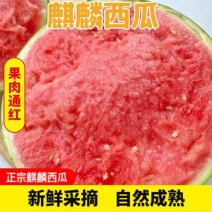 西瓜无籽美都大棚西瓜皮薄糖度13个以上支持视频看货