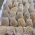 新疆吊干杏产地直发现摘现发质量保证坏果包赔空运包邮