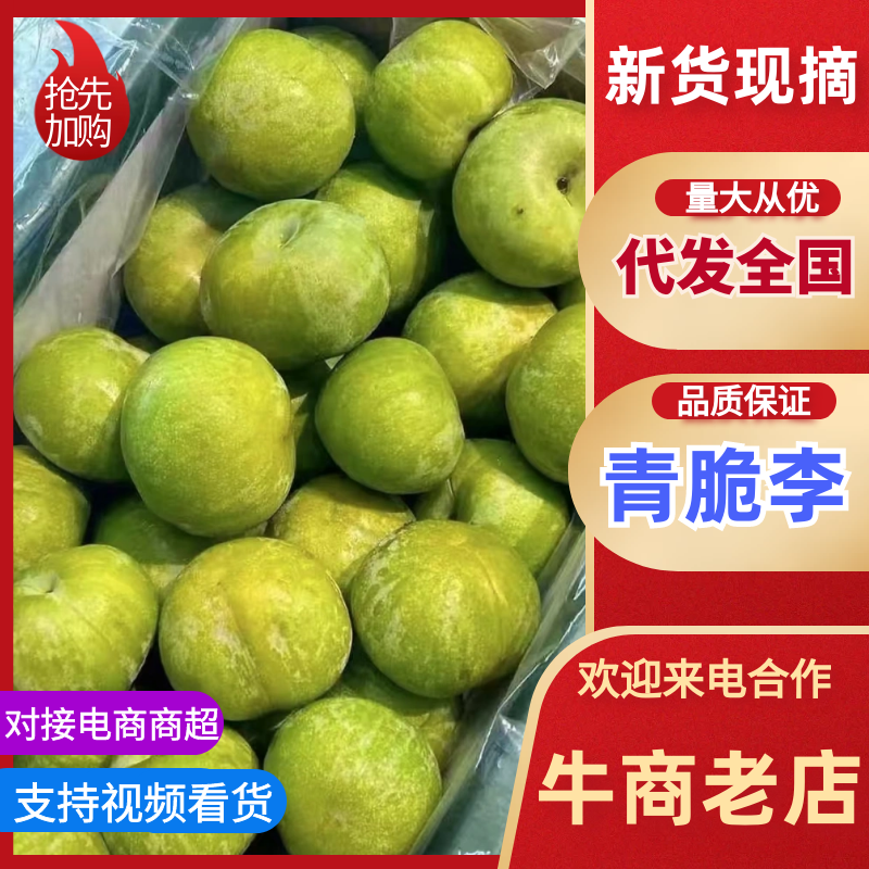 精品李子云南青脆李，产地直发，品质保证，量大从优，诚信经营